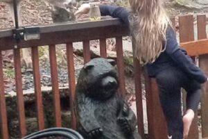 Grizzy’s Beech Mountain Farmhouse Ski Chalet