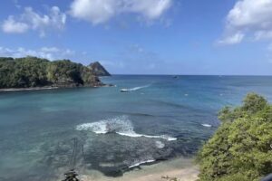 GT Travel Agency LLC