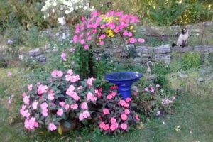 Guadalupe Travel Inc