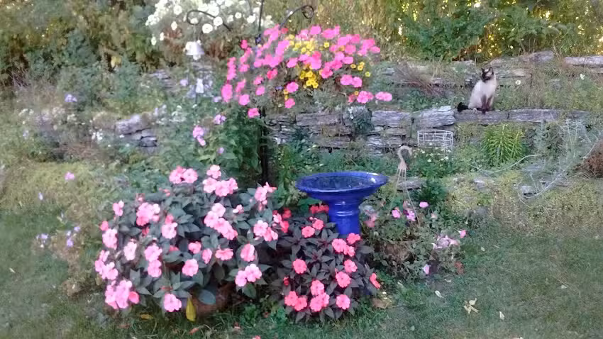 Guadalupe Travel Inc