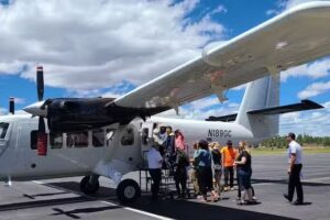 Guess Tours 게스관광