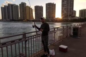 Guia Miami Brasil Ltda