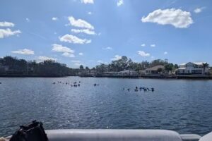 Gulf Coast Expeditions