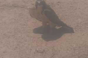 Guymon City Transfer Station