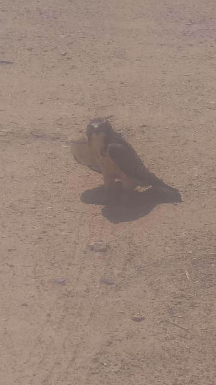 Guymon City Transfer Station