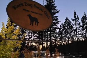 GVL Cozy Cabin Rentals