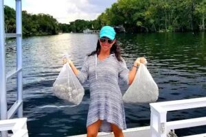 Gypsy Blue Scallop Tours