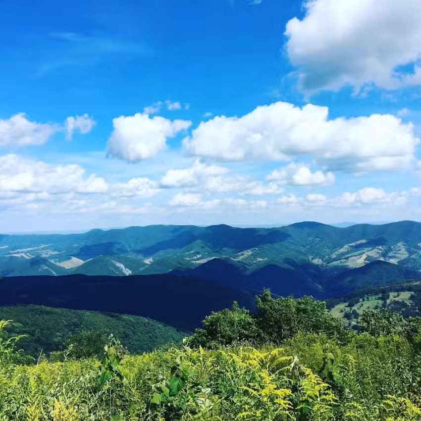 Gypsy Soul Vacations