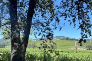 Hacienda Sonoma – A Luxury Vacation Rental Home.