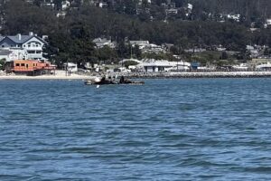 Half Moon Bay Kayak Co.