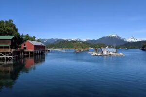 Halibut Cove Rentals