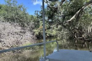 Happiness Bayou Tours