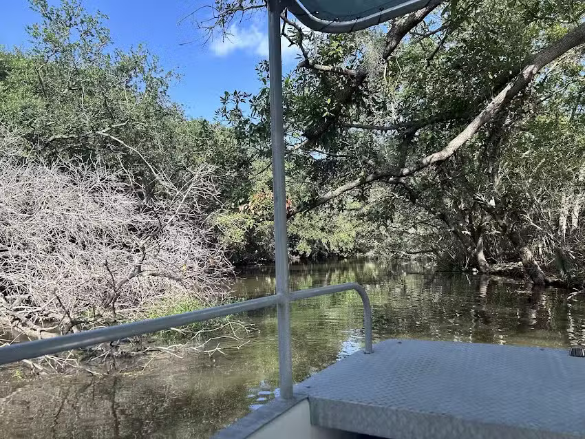 Happiness Bayou Tours