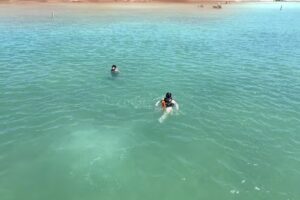 Happy Cat Snorkel Boat