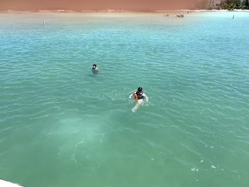 Happy Cat Snorkel Boat