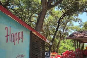 Happy Hollow Frio River Outfitters