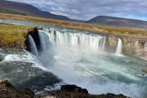 Happy Trails Travel Co