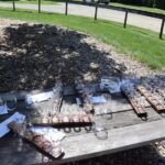 Harbor Country Adventures