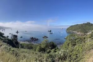 Harbor Moon: Trinidad Bay Vacation Rentals