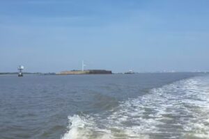 Harborview Charters-Boat Tours