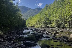 Harman’s Luxury Log Cabins