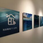 Hawaii Life Real Estate Brokers