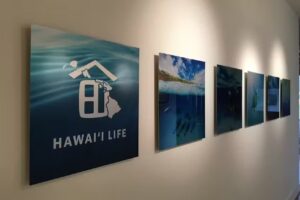 Hawaii Life Real Estate Brokers