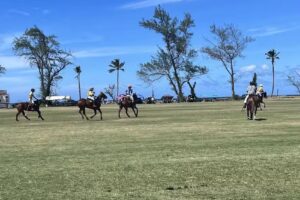 Hawaii Polo Club