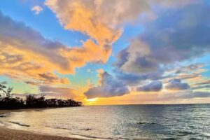 Hawaii Polo Oceanfront Trail Rides