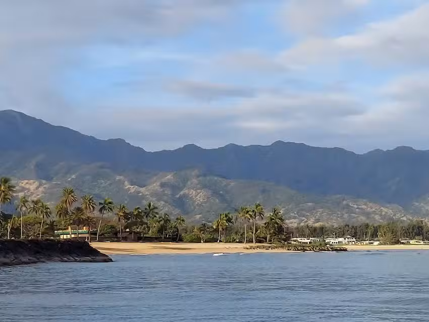 Hawaii Shark Encounters