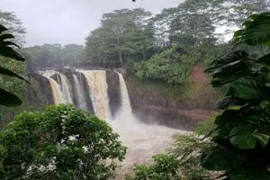 Hawaiian Scenic Tours & Travel Co.