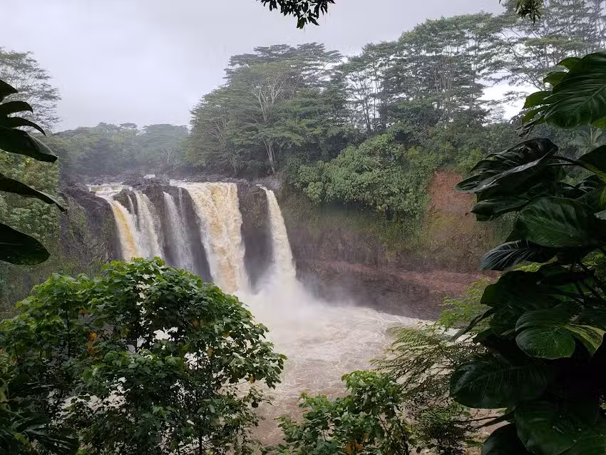 Hawaiian Scenic Tours & Travel Co.