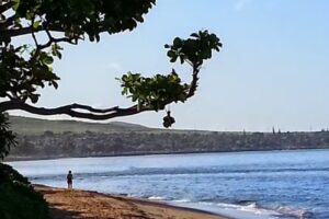 Hawaiian Traditions Tours