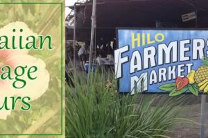 Hawaiian Village Tours