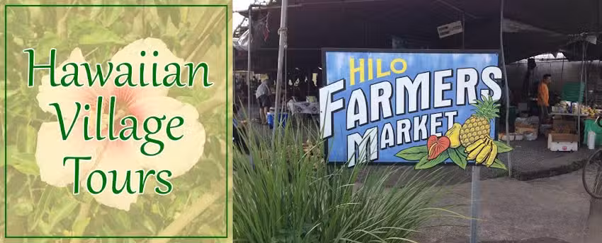 Hawaiian Village Tours