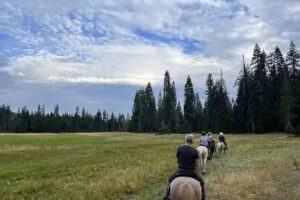 Hawks Rest Trail Rides