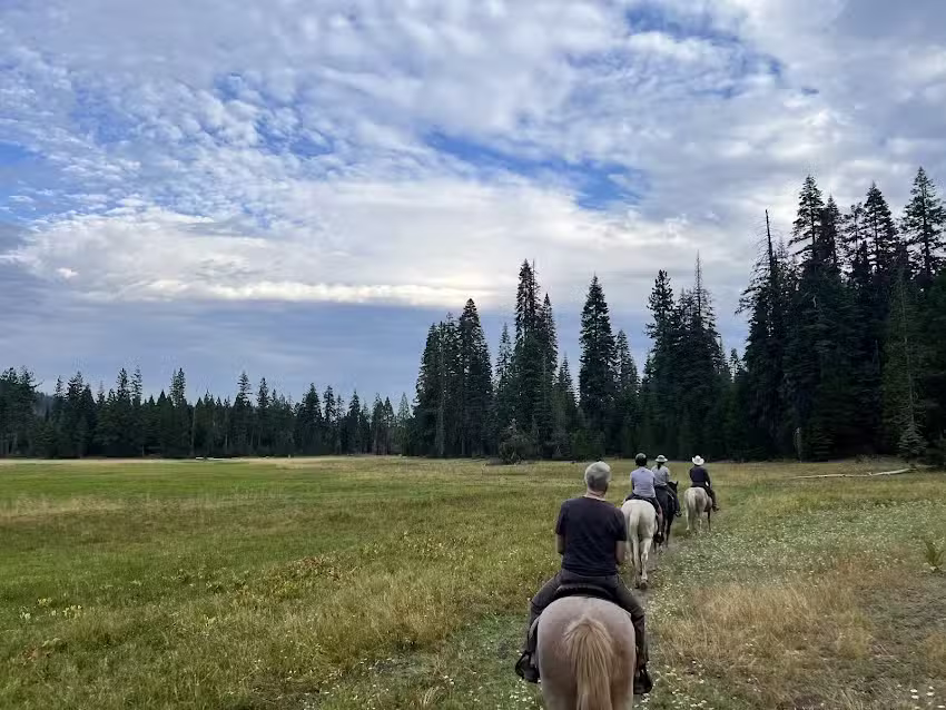 Hawks Rest Trail Rides