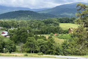 Hawksbill Retreat Log Cabins