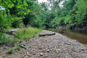 Headwaters Outfitters