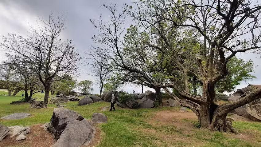 Heartland Travel Adventures