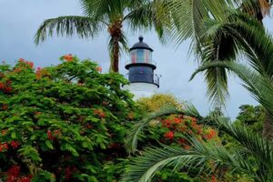 Hemingway in Key West Tours