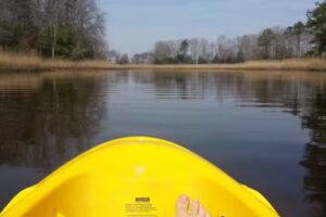 Herring Creek Hideaway