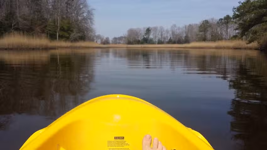 Herring Creek Hideaway