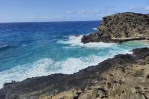 Hi5 Activities Hawaii