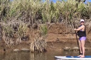 Hi5 Tours Hawaii LLC