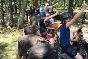 Hickory Hollow Horse Farm