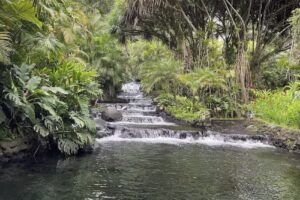 Hidden Gems Vacations