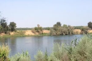 Hidden Harbor Marina & RV Park