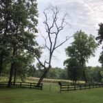 Hidden Hollow Farm Vacation Rentals