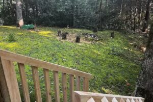 Hideaway Falls Cabin